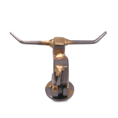 Texas Longhorn